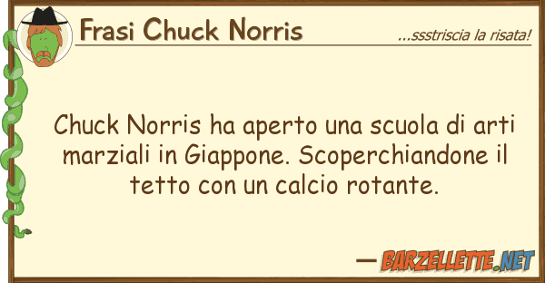 Frasi Chuck Norris chuck norris ha aperto scuola art