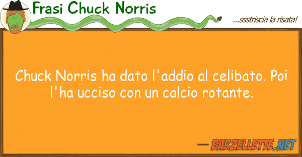 Frasi Chuck Norris chuck norris ha dato l'addio celibato