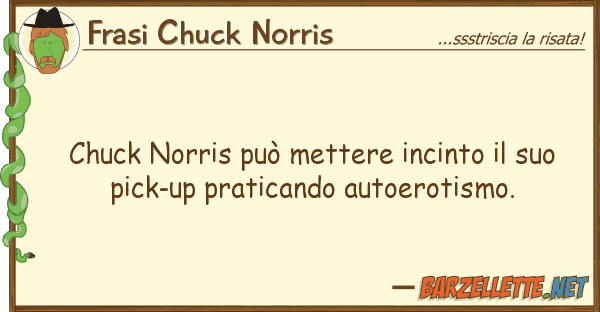Frasi Chuck Norris chuck norris può mettere incinto