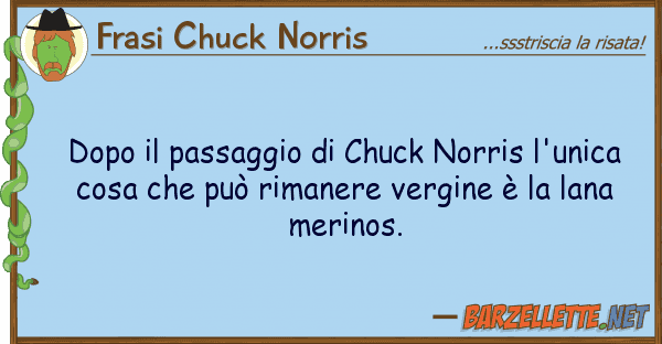 Frasi Chuck Norris dopo passaggio chuck norris l'unic