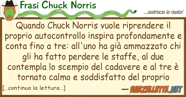 Frasi Chuck Norris quando chuck norris vuole riprendere