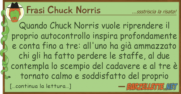 Frasi Chuck Norris quando chuck norris vuole riprendere