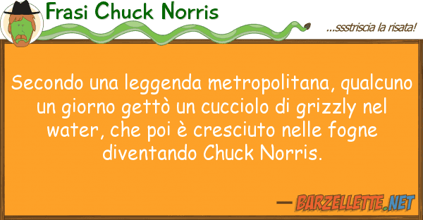 Frasi Chuck Norris secondo leggenda metropolitana, qual