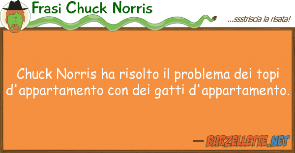 Frasi Chuck Norris chuck norris ha risolto problema