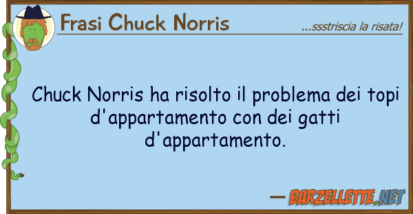 Frasi Chuck Norris chuck norris ha risolto problema