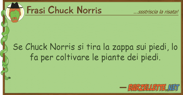 Frasi Chuck Norris chuck norris tira zappa pie