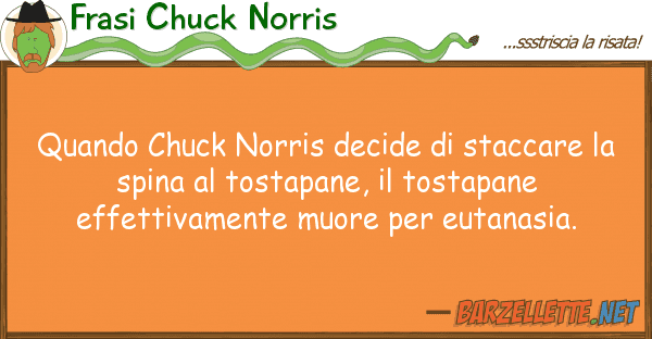 Frasi Chuck Norris quando chuck norris decide staccare