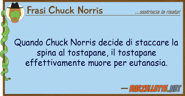 Frasi Chuck Norris quando chuck norris decide staccare