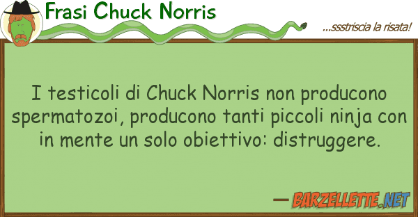 Frasi Chuck Norris testicoli chuck norris producon