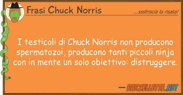 Frasi Chuck Norris testicoli chuck norris producon