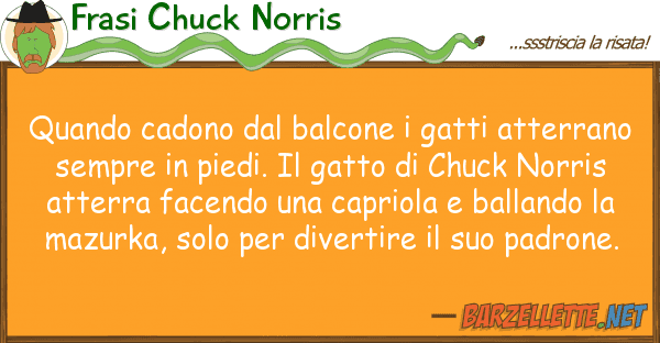 Frasi Chuck Norris quando cadono balcone gatti atterr
