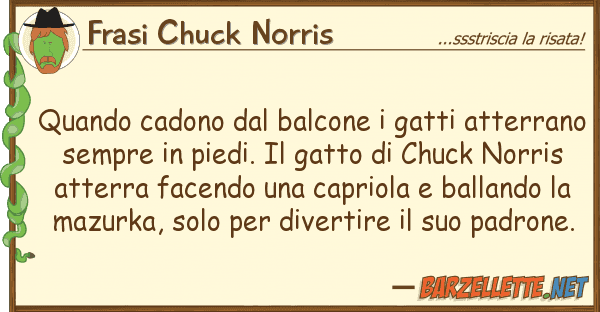 Frasi Chuck Norris quando cadono balcone gatti atterr
