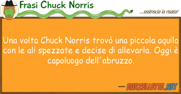 Frasi Chuck Norris volta chuck norris trovò piccol