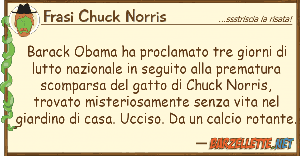 Frasi Chuck Norris barack obama ha proclamato tre giorni