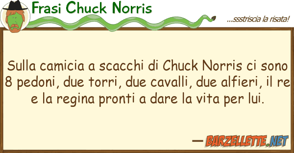 Frasi Chuck Norris camicia scacchi chuck norris
