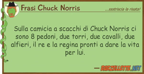 Frasi Chuck Norris camicia scacchi chuck norris