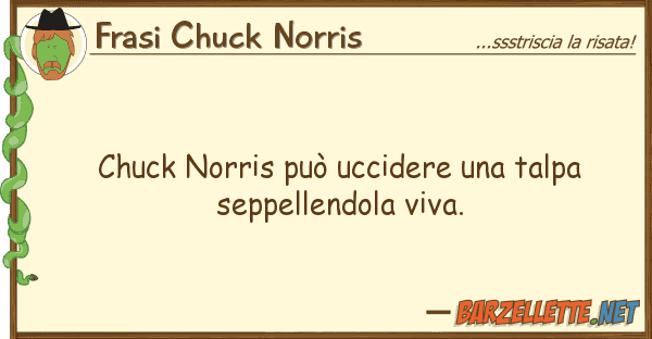 Frasi Chuck Norris chuck norris può uccidere talpa sep