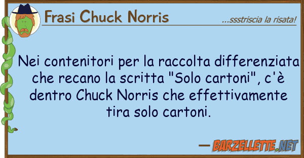 Frasi Chuck Norris contenitori raccolta differen