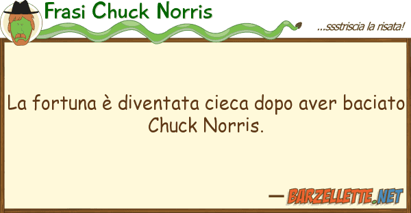 Frasi Chuck Norris fortuna è diventata cieca dopo aver