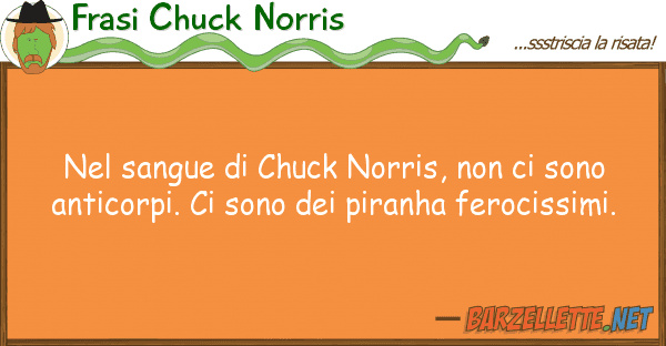 Frasi Chuck Norris sangue chuck norris, sono