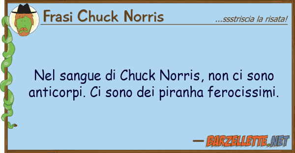 Frasi Chuck Norris sangue chuck norris, sono
