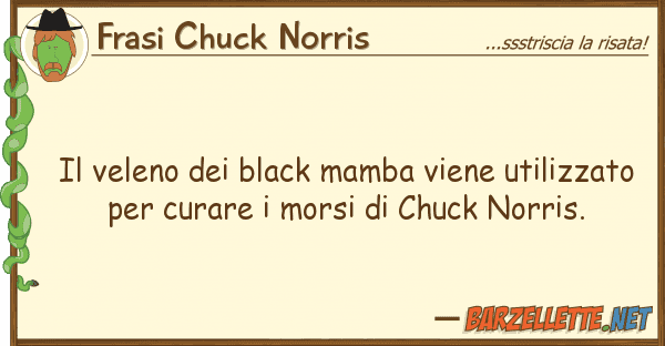 Frasi Chuck Norris veleno black mamba viene utilizza
