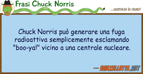 Frasi Chuck Norris chuck norris può generare fuga radi