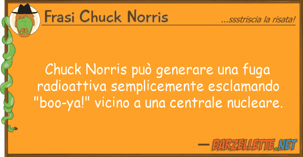 Frasi Chuck Norris chuck norris può generare fuga radi