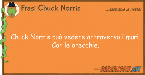 Frasi Chuck Norris chuck norris può vedere attraverso mu