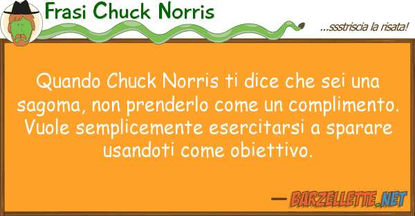 Frasi Chuck Norris quando chuck norris dice sei