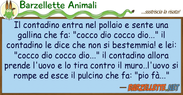Barzellette Animali contadino entra pollaio sente u