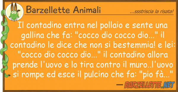 Barzellette Animali contadino entra pollaio sente u