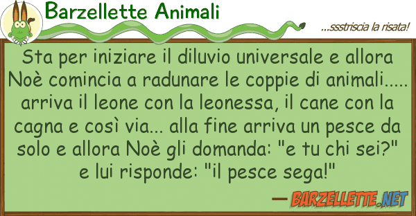 Barzellette Animali sta iniziare diluvio universale