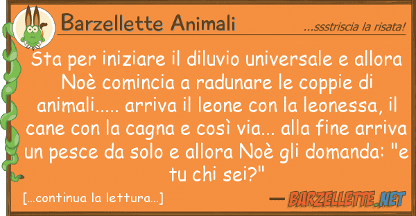 Barzellette Animali sta iniziare diluvio universale
