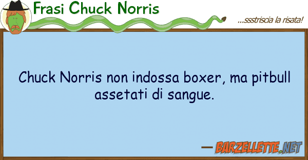 Frasi Chuck Norris chuck norris indossa boxer, pitbu