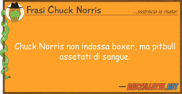 Frasi Chuck Norris chuck norris indossa boxer, pitbu