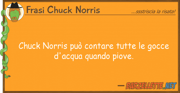 Frasi Chuck Norris chuck norris può contare tutte gocce