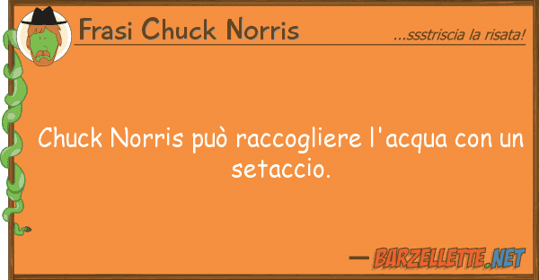 Frasi Chuck Norris chuck norris può raccogliere l'acqua co