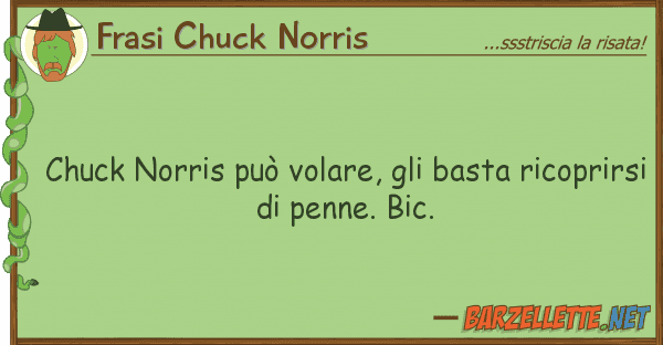Frasi Chuck Norris chuck norris può volare, basta rico