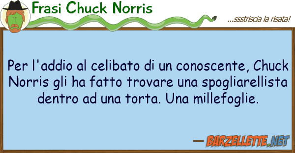 Frasi Chuck Norris l'addio celibato conoscente