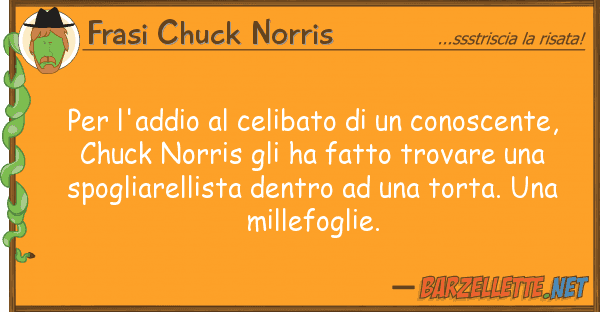 Frasi Chuck Norris l'addio celibato conoscente