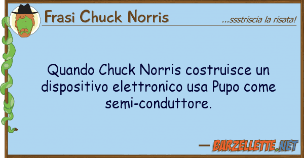 Frasi Chuck Norris quando chuck norris costruisce dispos