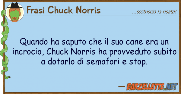 Frasi Chuck Norris quando ha saputo cane era