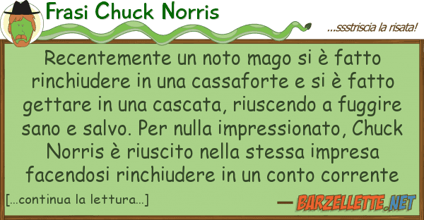 Frasi Chuck Norris recentemente noto mago è fatto ri