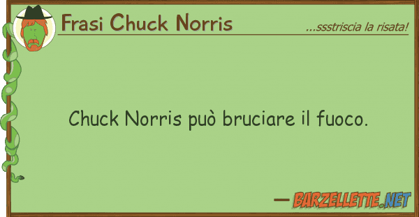 Frasi Chuck Norris chuck norris può bruciare fuoco.