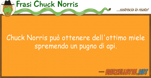 Frasi Chuck Norris chuck norris può ottenere dell'ottimo m
