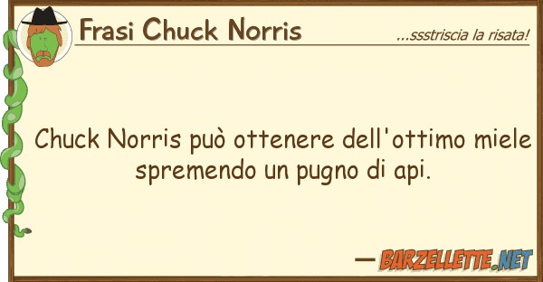 Frasi Chuck Norris chuck norris può ottenere dell'ottimo m
