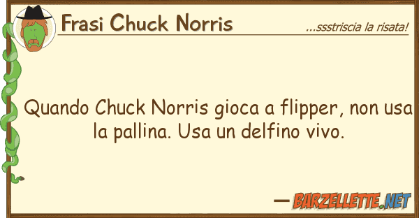 Frasi Chuck Norris quando chuck norris gioca flipper,