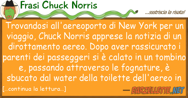 Frasi Chuck Norris trovandosi all'aereoporto new york pe