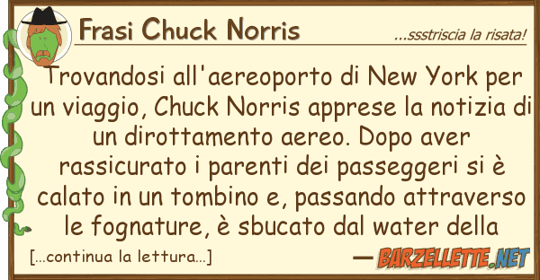 Frasi Chuck Norris trovandosi all'aereoporto new york pe